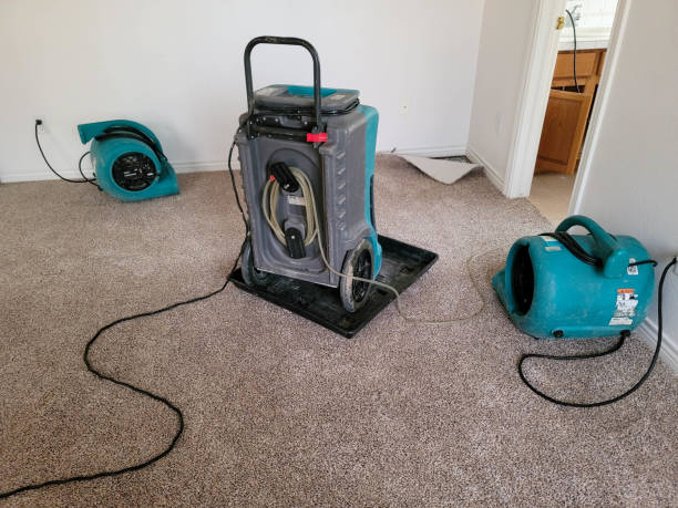 Best Flooded house restoration  in North Beach Haven, NJ