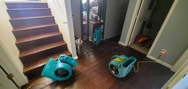 Best Flood damage cleanup  in North Beach Haven, NJ