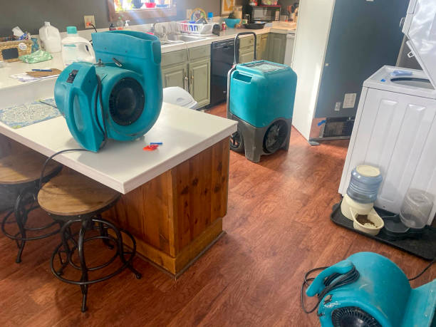 Best Mold removal after water damage  in North Beach Haven, NJ