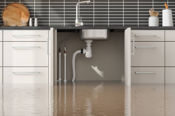 Best Carpet water damage restoration  in North Beach Haven, NJ